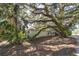 Single story house exterior, partially shaded by large tree at 775 Pennsylvania Ave, Palm Harbor, FL 34683