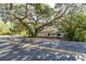 Single-story home with mature tree in front at 775 Pennsylvania Ave, Palm Harbor, FL 34683