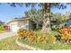 House exterior showcasing landscaping and large tree at 14631 Village Glen Cir, Tampa, FL 33618