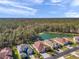 Community overview showcasing various houses and lush greenery at 27200 Hawks Nest Cir, Wesley Chapel, FL 33544