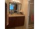 Bathroom with dark wood vanity and a large mirror at 5105 Garden Vale Ave, Tampa, FL 33624
