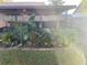 Screened patio with lush tropical plants at 5105 Garden Vale Ave, Tampa, FL 33624