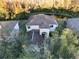 Aerial shot of the home's exterior surrounded by lush trees and greenery at 18127 Sandy Pointe Dr, Tampa, FL 33647