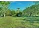 Spacious backyard with lush green grass, trees, and a clear blue sky at 5201 Pless Rd, Plant City, FL 33565