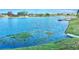 A picturesque lake view features vibrant blue water and lush green shoreline with homes in distance at 9107 Lingrove Rd, Weeki Wachee, FL 34613
