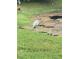 Scenic view of local wildlife, including a stork in its natural habitat near the water at 9107 Lingrove Rd, Weeki Wachee, FL 34613