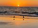 Stunning sunset over the ocean with birds on the beach at 1540 Gulf Blvd # 2107, Clearwater Beach, FL 33767