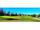 Community golf course with green, pond and homes visible at 4027 Harbor Lake Dr, Lutz, FL 33558