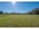 Expansive grassy backyard with mature trees and a clear view of the horizon at 6207 Barton Rd, Plant City, FL 33565