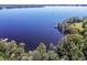Aerial view of a tranquil lakefront property with lush trees and a boat at 11114 Lake Sassa Dr, Thonotosassa, FL 33592