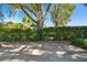 Basketball court nestled amongst mature trees in a backyard setting at 11114 Lake Sassa Dr, Thonotosassa, FL 33592