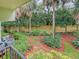Landscaped backyard with lush greenery at 1515 Pinellas Bayway S # 40, St Petersburg, FL 33715