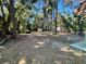 Large backyard with various trees and a storage shed at 12308 N 52Nd St, Temple Terrace, FL 33617
