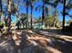 Back of the house showing a large yard with mature trees at 12308 N 52Nd St, Temple Terrace, FL 33617