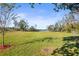 Large grassy backyard with lake view, perfect for outdoor activities at 3111 Lewis Rd, Dover, FL 33527
