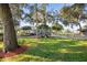 Landscaped yard with large oak trees and a home in the background at 3111 Lewis Rd, Dover, FL 33527