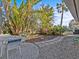 Backyard patio with table and chairs, surrounded by tropical plants at 35 Juniper Way, Clearwater Beach, FL 33767