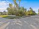 Landscaped front yard with mature tropical plants at 35 Juniper Way, Clearwater Beach, FL 33767