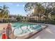 Community swimming pool surrounded by trees and landscaping at 3034 Eastland Blvd # D108, Clearwater, FL 33761