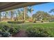 Landscaped grounds with lush greenery, palm trees, and a walkway at 36750 Us Highway 19 N # 01104, Palm Harbor, FL 34684