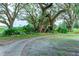 Landscaped walkway with tropical plants and mature trees at 5312 Mary St, Zephyrhills, FL 33542