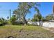 Backyard with large tree and white fence at 100 Augusta Ave, Palm Harbor, FL 34683