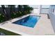 Close up of a modern rectangular pool with travertine deck and lush tropical landscaping at 1532 Gopher Loop, Tarpon Springs, FL 34689