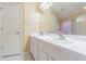 Bathroom with dual sinks, a large mirror, and ample counter space at 17227 Poppy Fields Ln, Land O Lakes, FL 34638