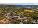 Aerial view of community near the water, showing homes and green space at 2044 Sheffield Ct, Oldsmar, FL 34677