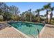 Community pool with brick patio and surrounding trees at 2044 Sheffield Ct, Oldsmar, FL 34677