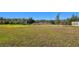 Spacious backyard with lush green grass and partial fencing offering privacy and room for recreation at 21291 Snowy Orchid Ter, Land O Lakes, FL 34637