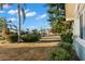 Landscaped front yard with palm trees and shrubs at 2232 Greenwich Dr # 56, Sun City Center, FL 33573