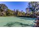 Outdoor paddle ball court surrounded by trees at 31225 Claridge Pl, Wesley Chapel, FL 33543