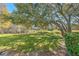 Large grassy backyard with shade trees at 9907 Ashburn Lake Dr, Tampa, FL 33610