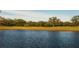 Scenic lake surrounded by trees and vegetation in a beautiful community. A great place to relax and unwind at 1506 Bentwood Dr, Sun City Center, FL 33573