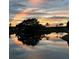 Gorgeous sunset reflected on the calm pond, surrounded by mature trees and community homes at 1506 Bentwood Dr, Sun City Center, FL 33573