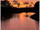 Beautiful sunset view with palm trees reflected in the tranquil pond, creating a serene and picturesque setting at 1506 Bentwood Dr, Sun City Center, FL 33573