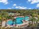 Resort-style pool with plenty of lounge chairs and palm trees at 18014 Cozumel Isle Dr, Tampa, FL 33647