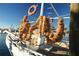 Fishing boat with harvested sponges hanging on the side at 2817 Roehampton Close, Tarpon Springs, FL 34688