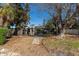 Landscaped backyard with mature trees and a pathway leading to the house at 505 80Th Ave, St Pete Beach, FL 33706