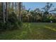 Large backyard with mature trees and grassy area at 9800 Mendel Dr, New Port Richey, FL 34654