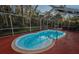 Inviting kidney-shaped pool with a screened enclosure at 9800 Mendel Dr, New Port Richey, FL 34654