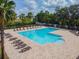 L-shaped community pool with plenty of lounge chairs at 10703 Aldo Moro Dr, Wimauma, FL 33598