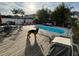 Backyard oasis with a sparkling pool, wooden deck, patio furniture, and lush landscaping at 1449 Kaffir Lily Ct, Trinity, FL 34655