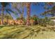 Landscaped backyard with a large tree and wooden fence at 1638 St Catherine W Dr, Dunedin, FL 34698