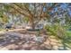House exterior with a large oak tree and landscaping at 1638 St Catherine W Dr, Dunedin, FL 34698
