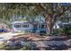 House exterior with a large oak tree and landscaping at 1638 St Catherine W Dr, Dunedin, FL 34698