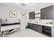 Pet spa with washing station and ample counter space at 3401 Bayshore Blvd # 1904, Tampa, FL 33629