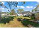 Large backyard with mature trees and plenty of space at 4666 Helena Ne St, St Petersburg, FL 33703