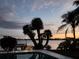 Inviting backyard oasis showcasing a pool, palm trees, and a tranquil waterfront setting at sunset at 1285 79Th St S, St Petersburg, FL 33707